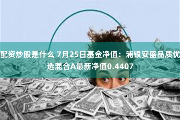 配资炒股是什么 7月25日基金净值：浦银安盛品质优选混合A最新净值0.4407