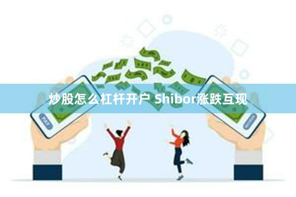 炒股怎么杠杆开户 Shibor涨跌互现