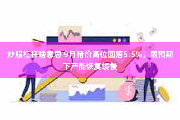 炒股杠杆啥意思 9月猪价高位回落5.5%，弱预期下产能恢复缓慢