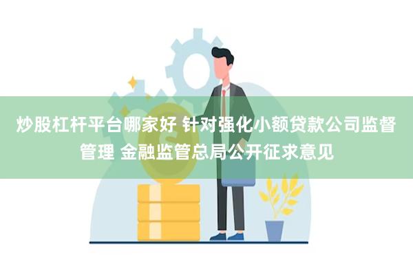 炒股杠杆平台哪家好 针对强化小额贷款公司监督管理 金融监管总局公开征求意见