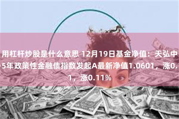 用杠杆炒股是什么意思 12月19日基金净值：天弘中债1-5年政策性金融债指数发起A最新净值1.0601，涨0.11%