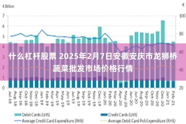 什么杠杆股票 2025年2月7日安徽安庆市龙狮桥蔬菜批发市场价格行情