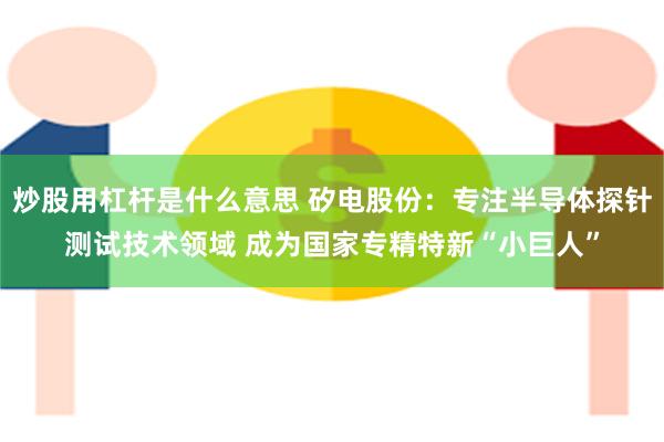 炒股用杠杆是什么意思 矽电股份：专注半导体探针测试技术领域 成为国家专精特新“小巨人”