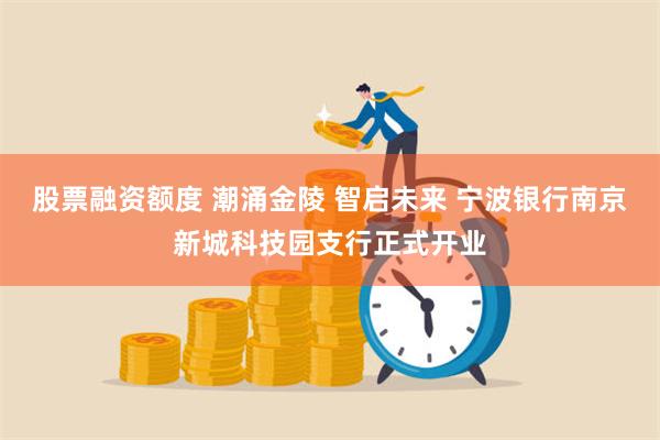 股票融资额度 潮涌金陵 智启未来 宁波银行南京新城科技园支行正式开业